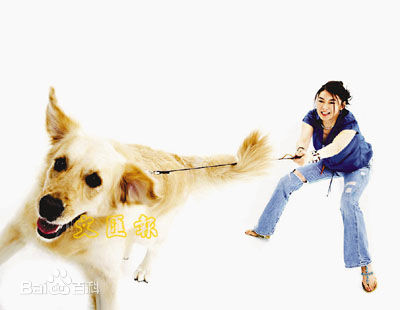 陈淑兰(Sheila Chi)生活照性感图片壁纸