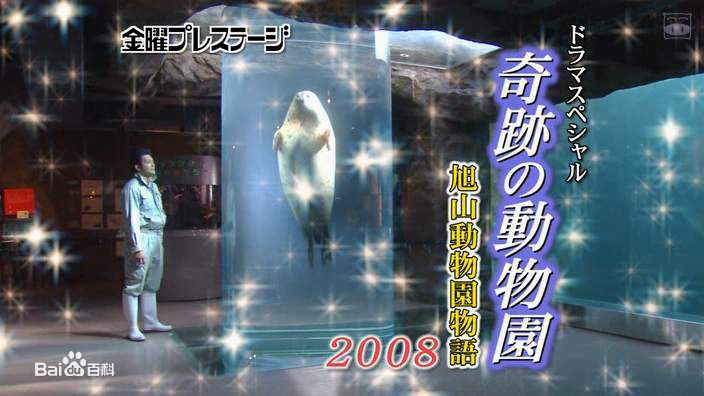 小出惠介(こいで けいすけ,Keisuke Koide)前后照片