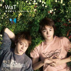 最全瑛士(ウエンツ、Wentz Eiji)素颜照