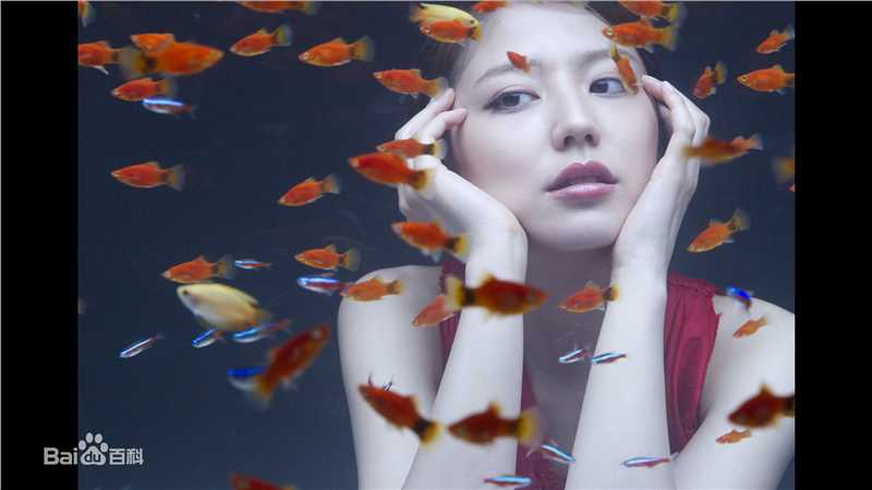 最全长泽雅美(長澤まさみ(Masami Nagasawa))精彩图册