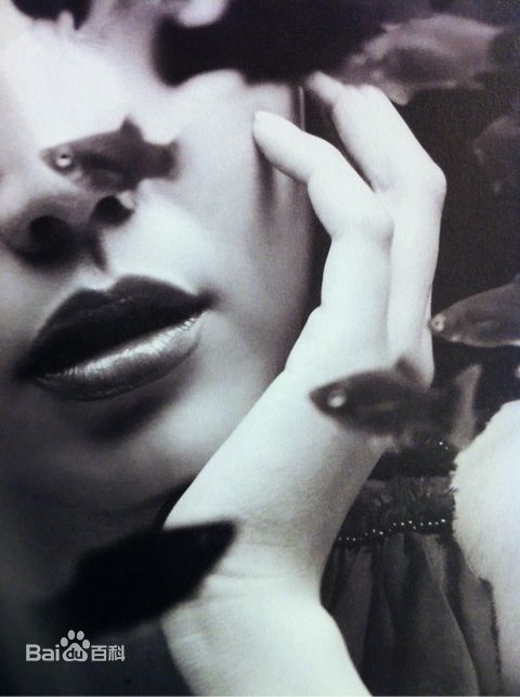 长泽雅美(長澤まさみ(Masami Nagasawa))精彩图册