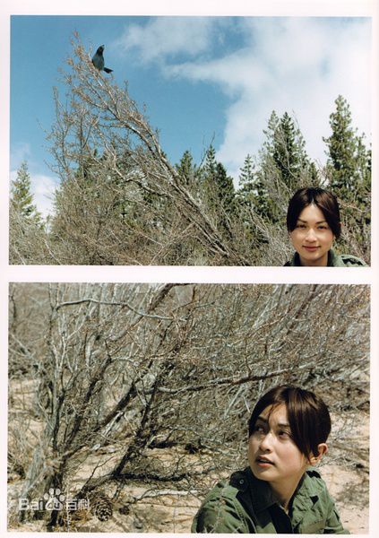 最全长谷川京子(KYOKO HASEGAWA)精彩图册