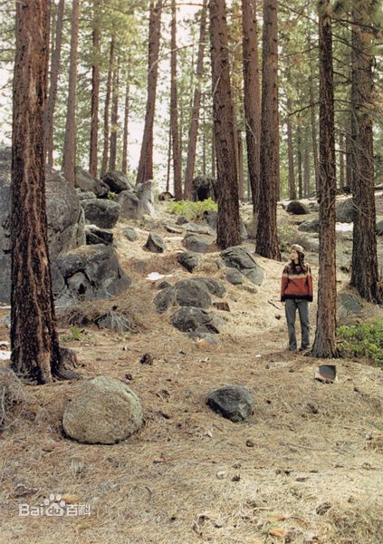最全长谷川京子(KYOKO HASEGAWA)精彩图册