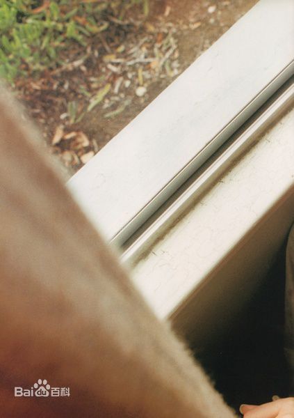 最全长谷川京子(KYOKO HASEGAWA)精彩图册