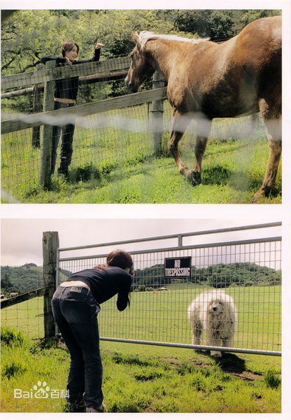 最全长谷川京子(KYOKO HASEGAWA)精彩图册