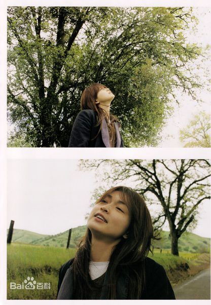 最全长谷川京子(KYOKO HASEGAWA)精彩图册