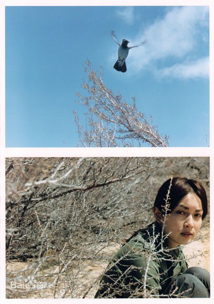 最全长谷川京子(KYOKO HASEGAWA)精彩图册