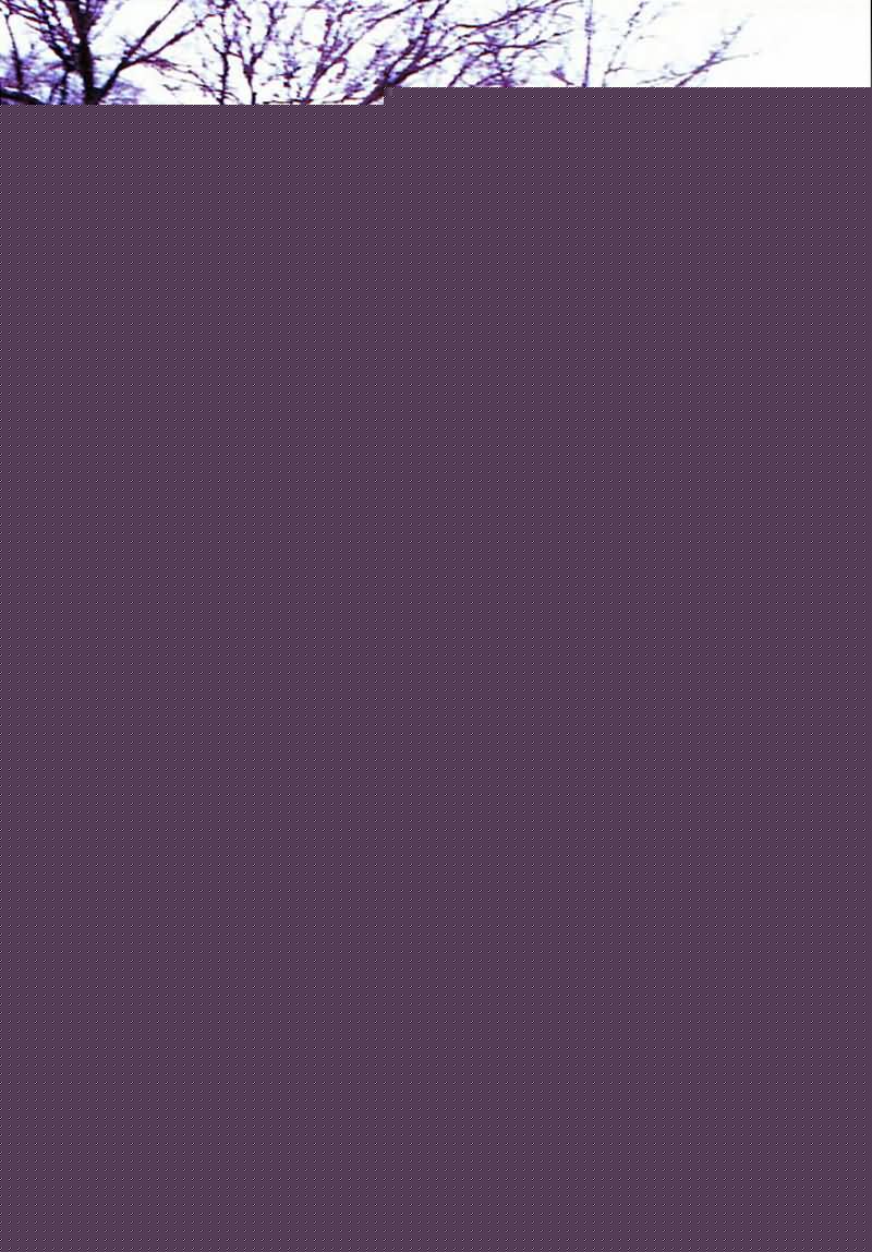 高清栗山千明(Chiaki Kuriyama/Queen Bee)精彩图册