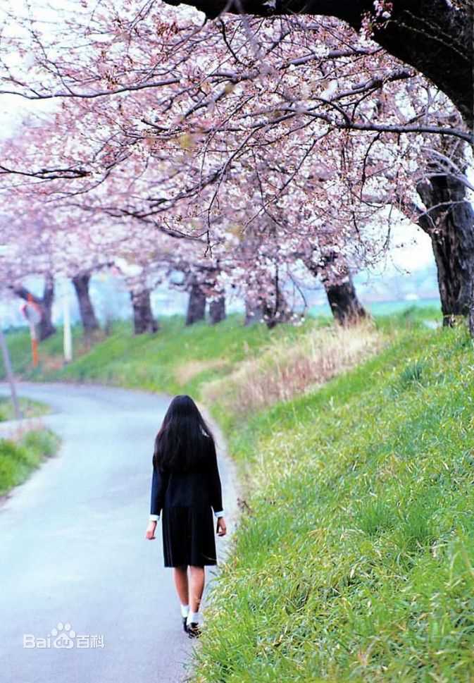 高清栗山千明(Chiaki Kuriyama/Queen Bee)精彩图册