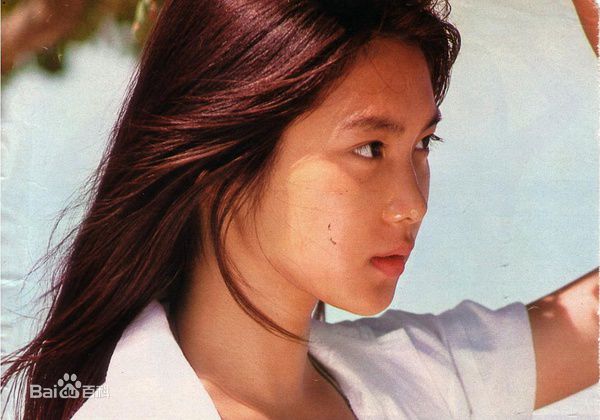 最新浅野温子精彩图册