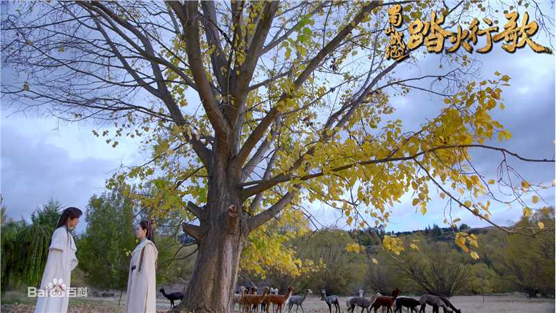 雨婷儿(Fortuna)蜀山战纪2踏火行歌前后照片