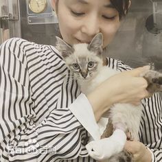 石田百合子(石田ゆり子、Yuriko Ishida)石田 百合子 图集图册