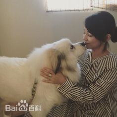 石田百合子(石田ゆり子、Yuriko Ishida)石田 百合子 图集图册