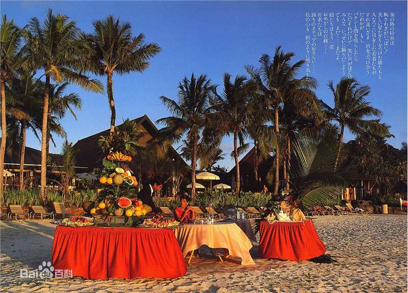 精选铃木保娜美(Honami Suzuki,すずき ほなみ)精彩图册