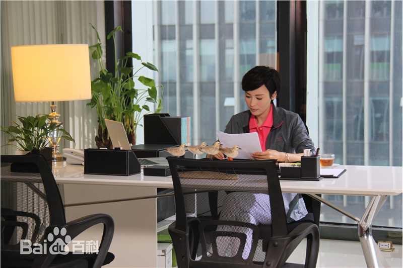 石筱群《旋风少女》最全剧照