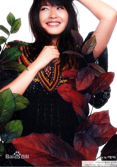 王智慧,王智惠(本名)(,Wang Ji Hye)艺术照性感图片图集