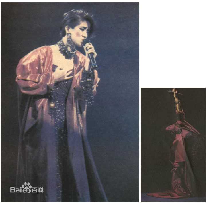 梅艳芳(Anita Mui,アニタ ·ムイ)1985-1986年尽显光华演唱会性感图片图集