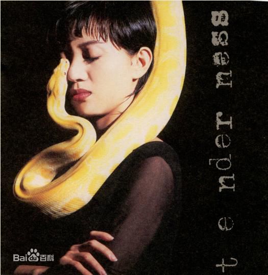 最全梅艳芳(Anita Mui,アニタ ·ムイ)精彩图册