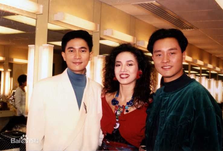 梅艳芳(Anita Mui,アニタ ·ムイ)精彩图册