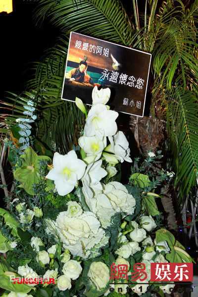 最新梅艳芳(Anita Mui,アニタ ·ムイ)精彩图册