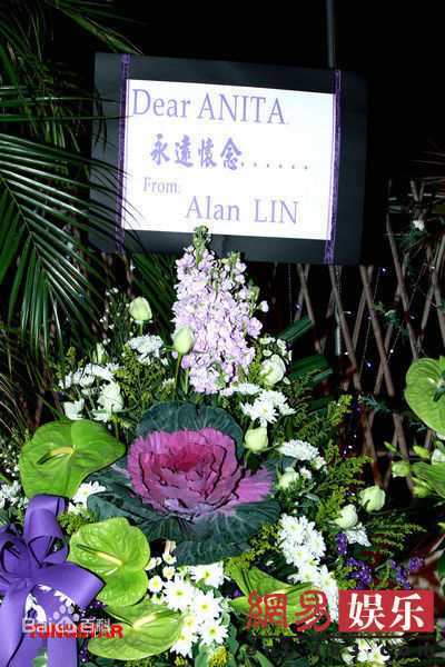 最新梅艳芳(Anita Mui,アニタ ·ムイ)精彩图册