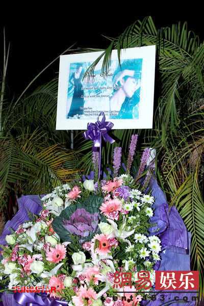 最新梅艳芳(Anita Mui,アニタ ·ムイ)精彩图册