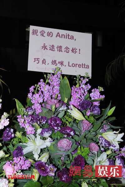 最新梅艳芳(Anita Mui,アニタ ·ムイ)精彩图册