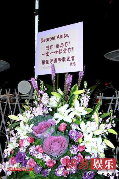 最新梅艳芳(Anita Mui,アニタ ·ムイ)精彩图册