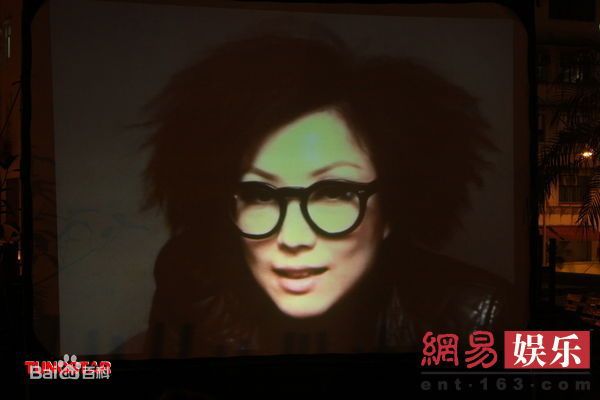 最新梅艳芳(Anita Mui,アニタ ·ムイ)精彩图册