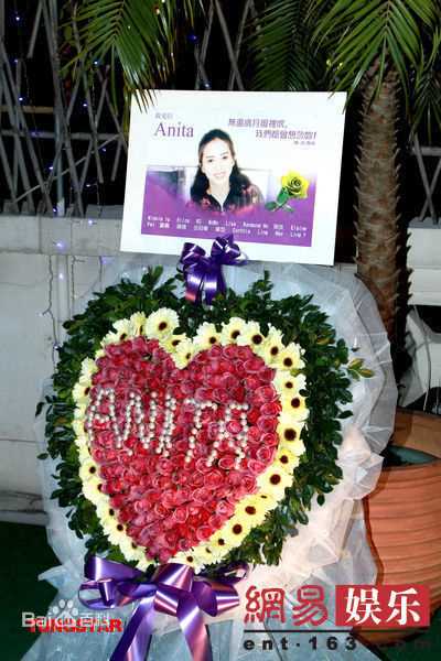 最新梅艳芳(Anita Mui,アニタ ·ムイ)精彩图册