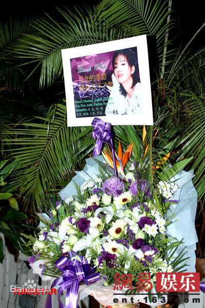 最新梅艳芳(Anita Mui,アニタ ·ムイ)精彩图册