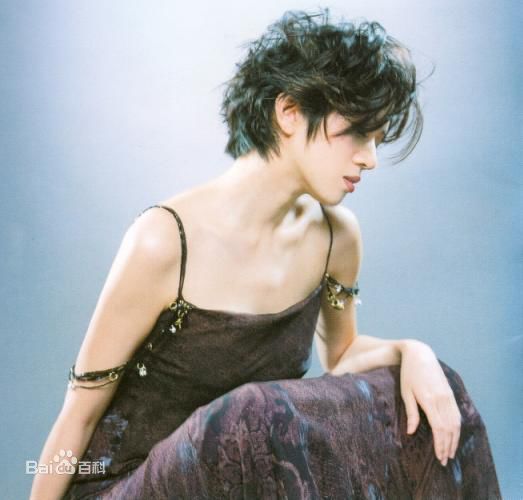 最全梅艳芳(Anita Mui,アニタ ·ムイ)精彩图册