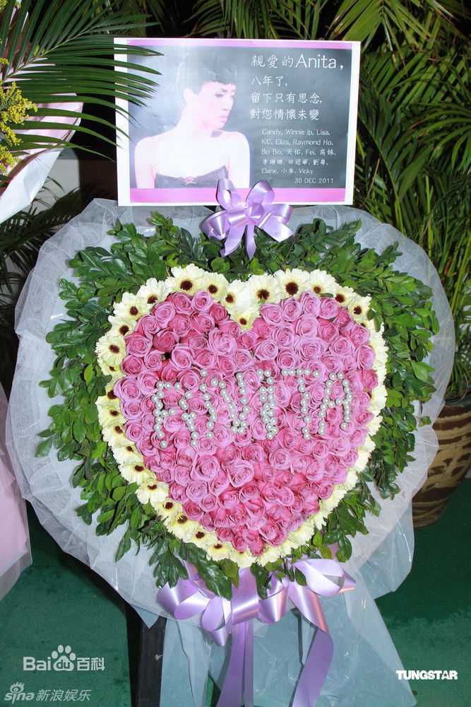 最新梅艳芳(Anita Mui,アニタ ·ムイ)精彩图册
