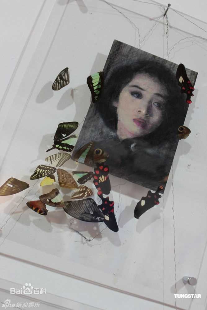 最新梅艳芳(Anita Mui,アニタ ·ムイ)精彩图册
