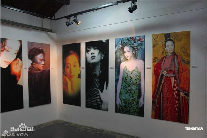 最新梅艳芳(Anita Mui,アニタ ·ムイ)精彩图册