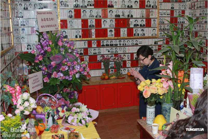 最新梅艳芳(Anita Mui,アニタ ·ムイ)精彩图册