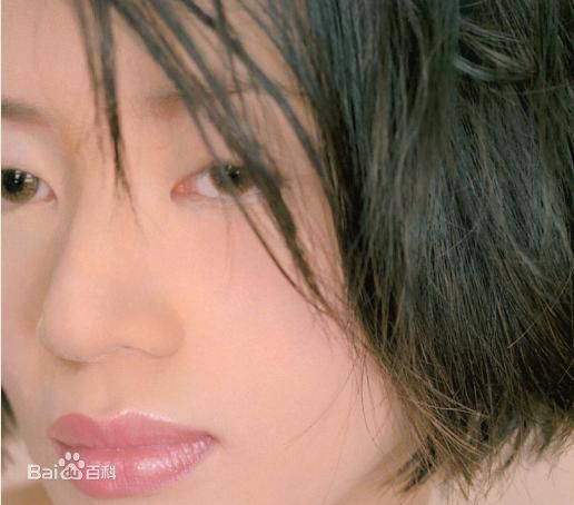 梅艳芳(Anita Mui,アニタ ·ムイ)专辑照图片图集