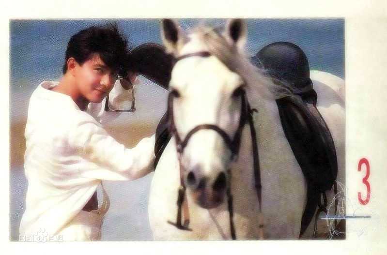 张卫健(Dicky Cheung)青年时期素颜照相册
