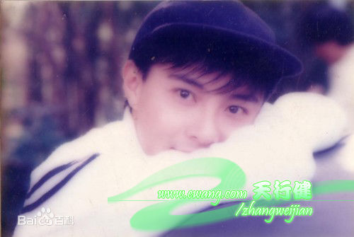 张卫健(Dicky Cheung)青年时期素颜照相册