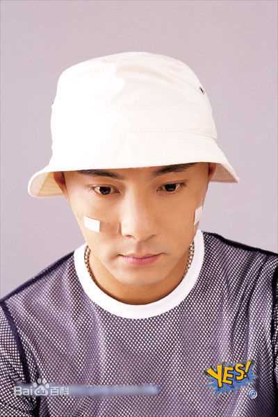 张卫健(Dicky Cheung)青年时期素颜照相册