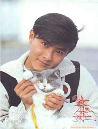 张卫健(Dicky Cheung)青年时期素颜照相册