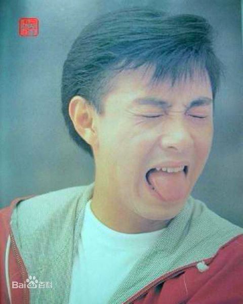 张卫健(Dicky Cheung)青年时期素颜照相册