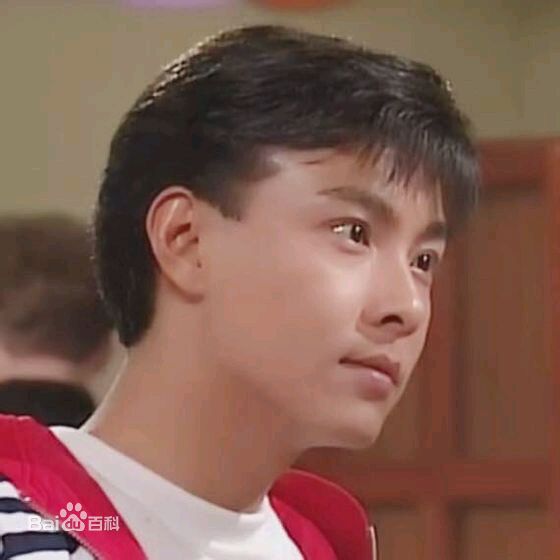 张卫健(Dicky Cheung)青年时期素颜照相册