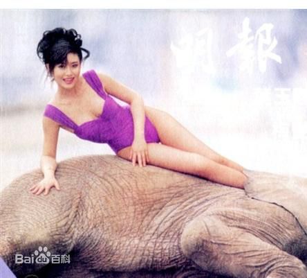 最优质叶玉卿精彩图册