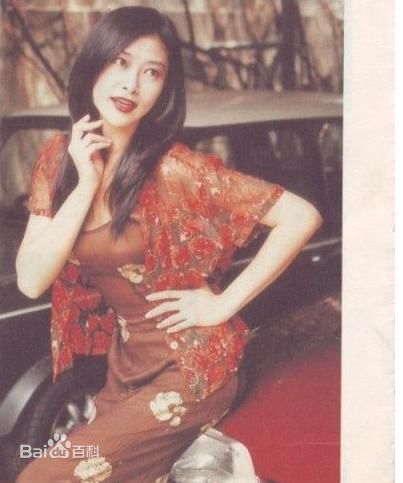 最优质叶玉卿精彩图册