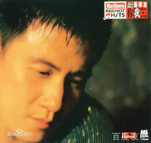 张学友(Jacky Cheung)最优质专辑封面(1993-1999)相册