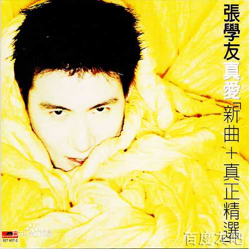 张学友(Jacky Cheung)最优质专辑封面(1993-1999)相册