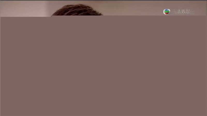 最新苗侨伟(Michael Miu)在2010《老公万岁》饰程琛中的图集