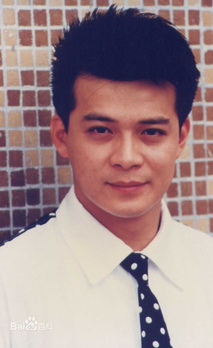 精选黄日华(Felix Wong Yat Wa)图片