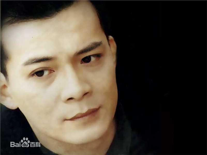 精选黄日华(Felix Wong Yat Wa)图片